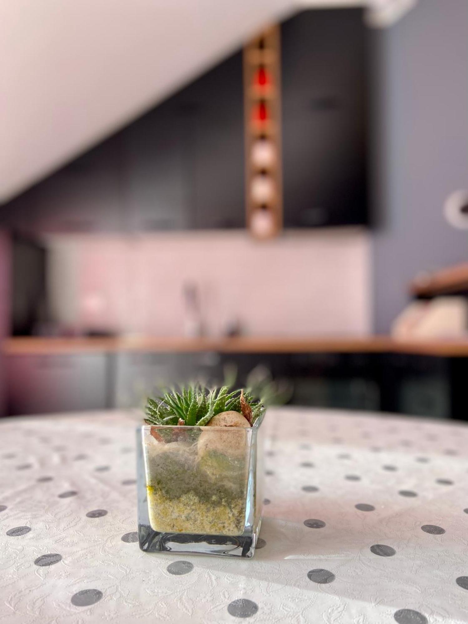 Banicevic Apartmani Ðenovići Exterior foto
